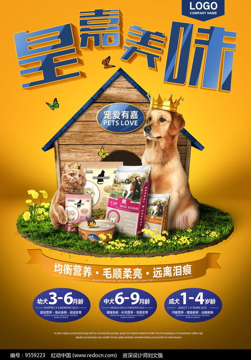 宠物食品促销宣传海报下载 9559223
